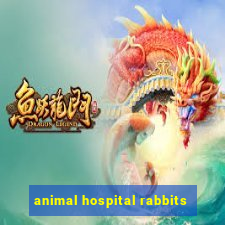 animal hospital rabbits